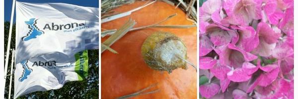 _bossewaard Profile Banner