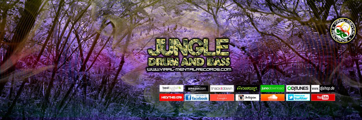 ▫VMR TEAM▫JUNGLE/DNB banner