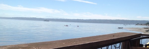 ProfJessTracy Profile Banner