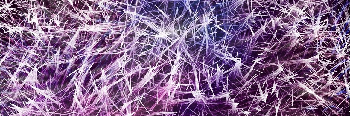 Rebecca Forde banner