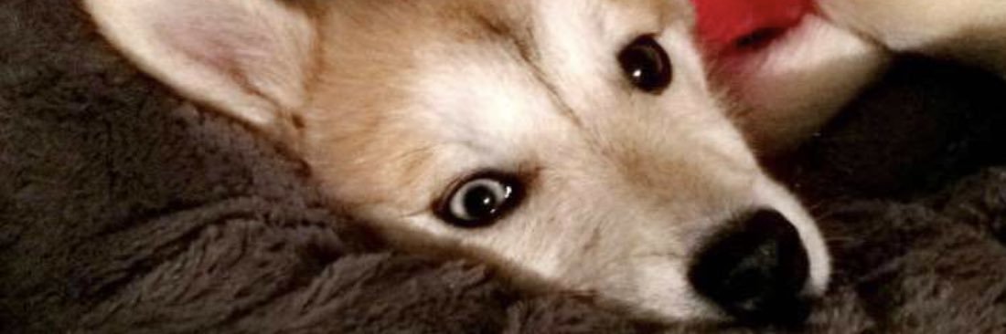 ajdulay33's profile banner image