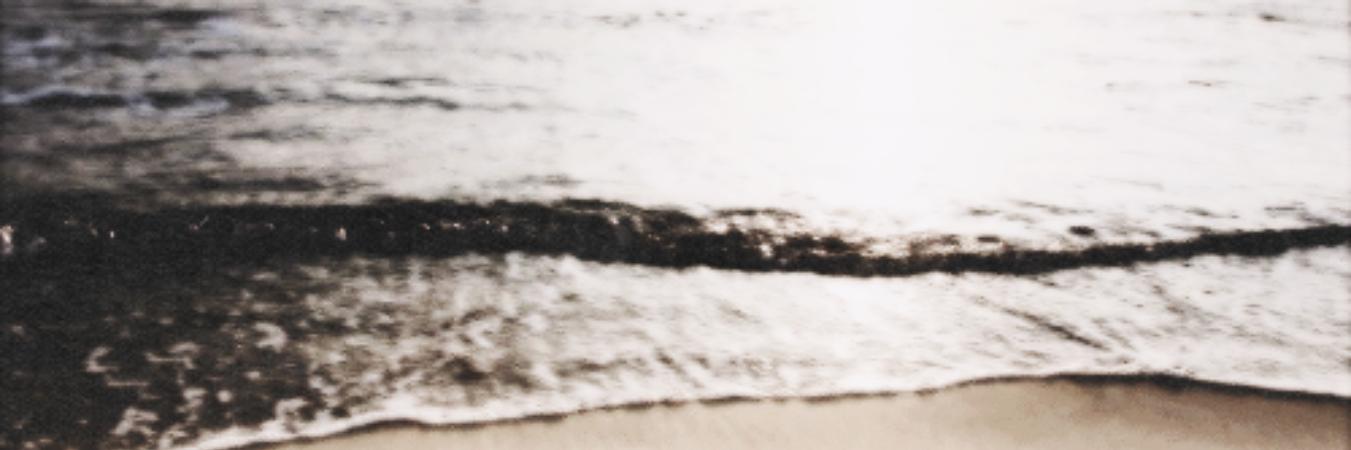 megantwlgdr's profile banner image