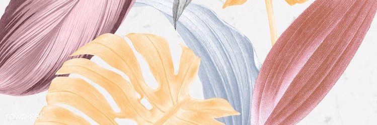 flopretto's profile banner image