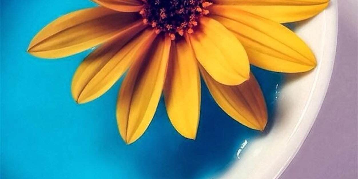 _Jess_Ann's profile banner image