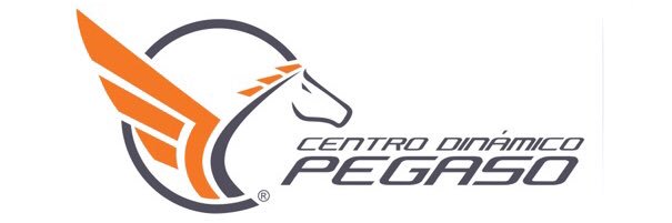 Centro Dinámico Pegaso banner