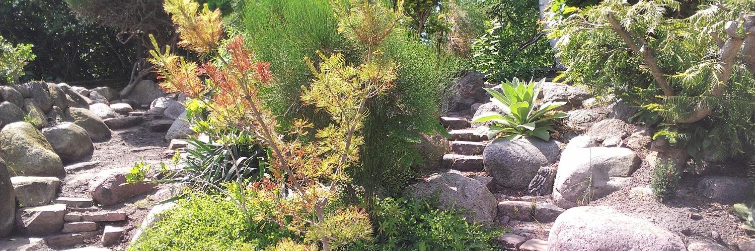 Maren Overgaard banner