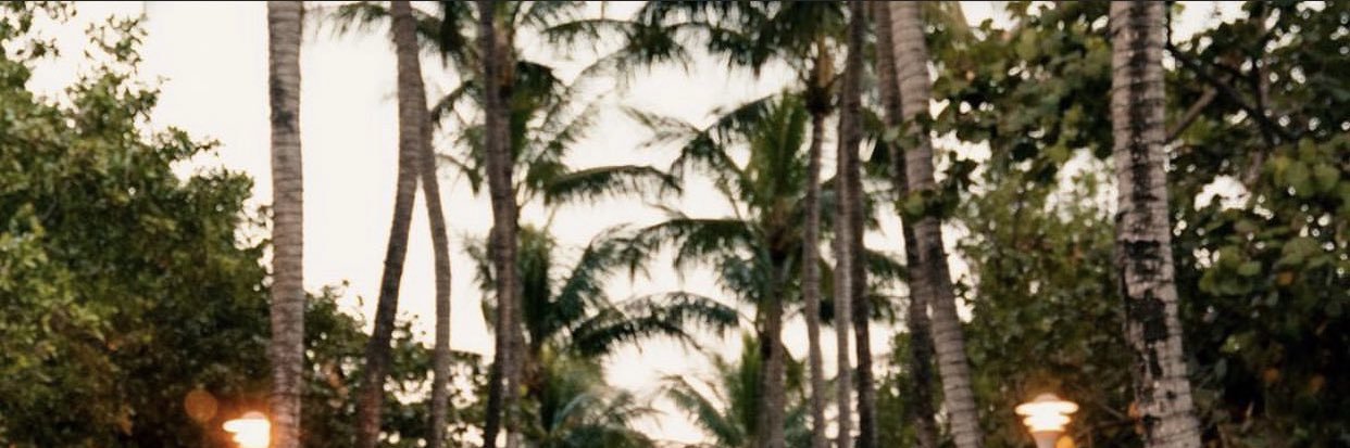 BrianGDynasty's profile banner image