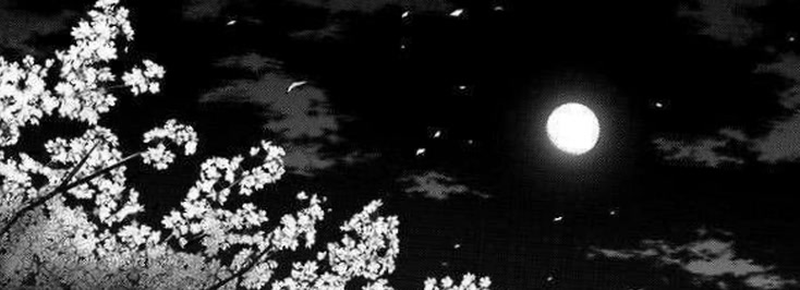 uptyv's profile banner image