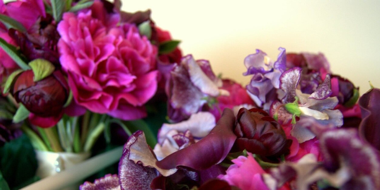 Rachel Baxtresser banner