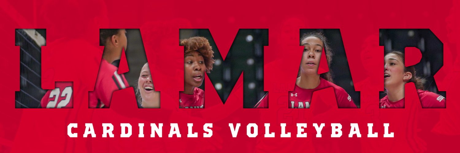 Lamar Volleyball's banner