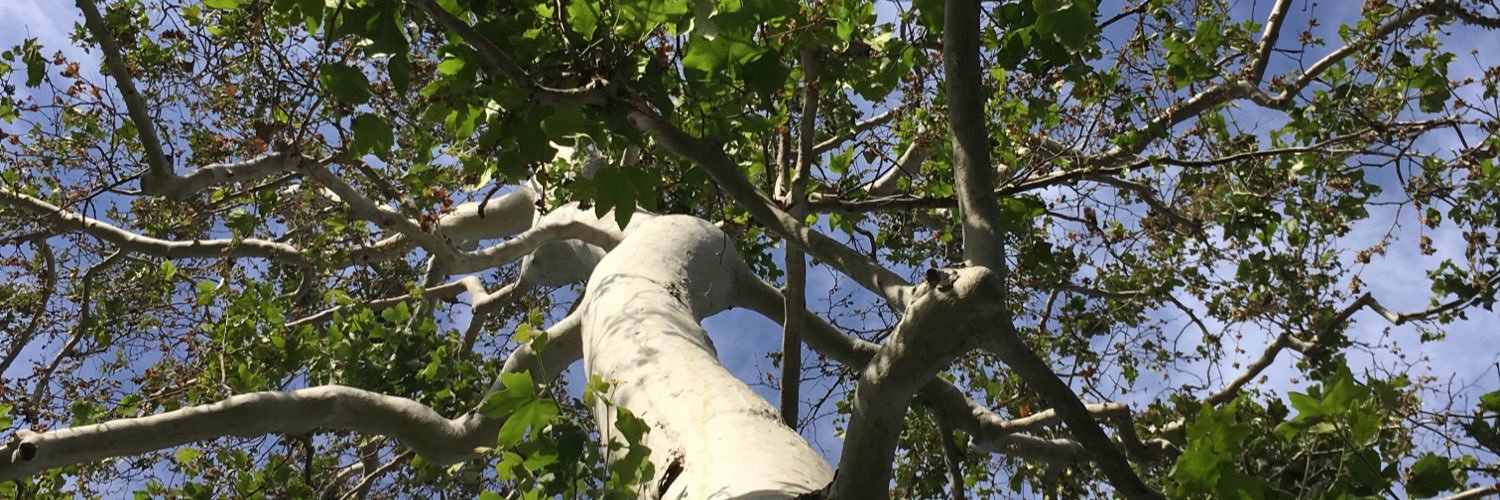 DeClueKevin's profile banner image