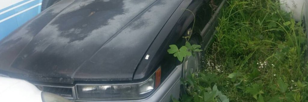 dycskt's profile banner image