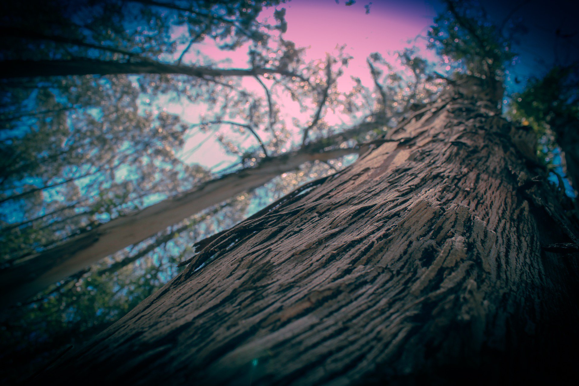 othizzle92's profile banner image