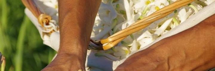 aytu_ha's profile banner image
