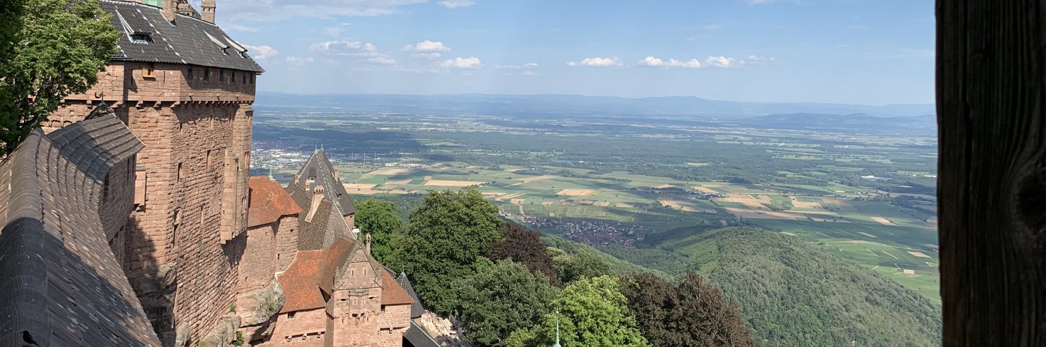 Moises Medrano banner