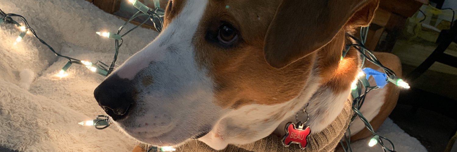 mrrobmason's profile banner image