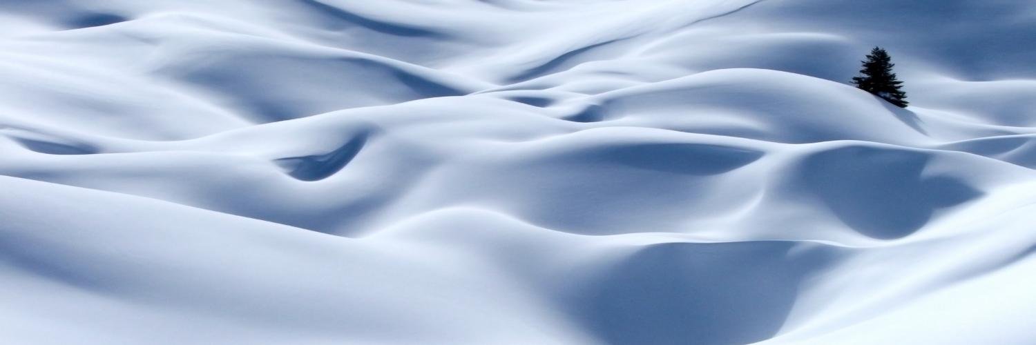 RoxanneStauffer's profile banner image