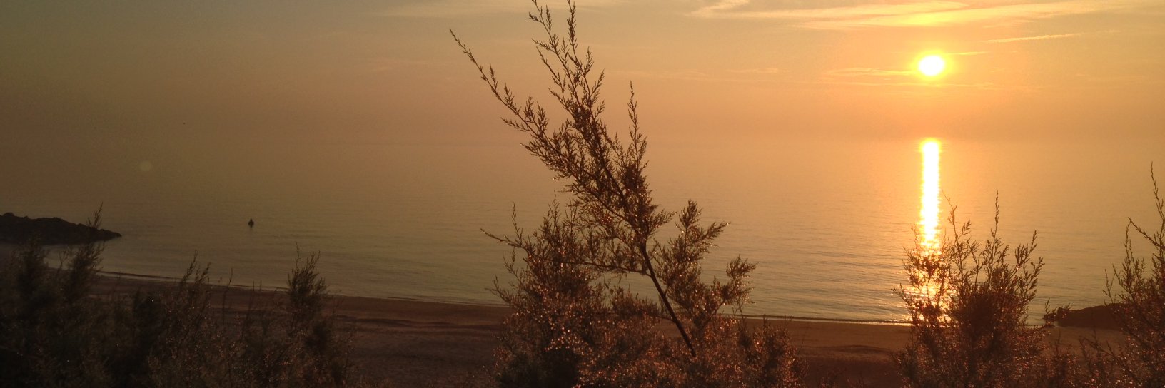 bakerwe's profile banner image