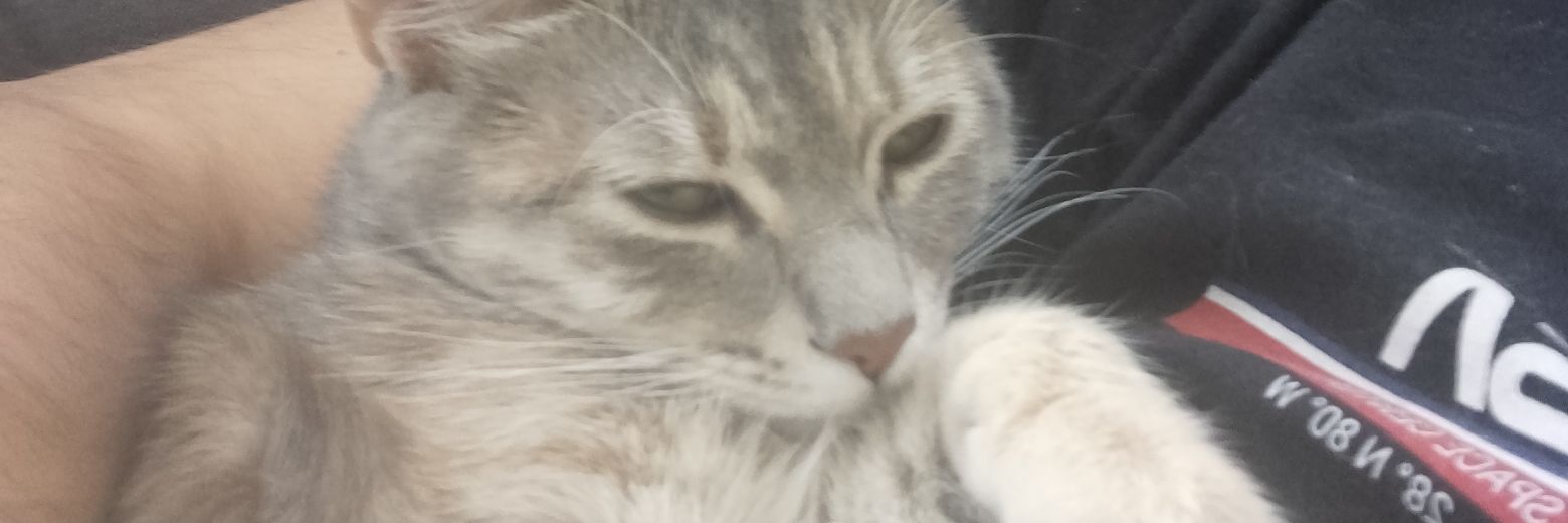 hej_hb's profile banner image