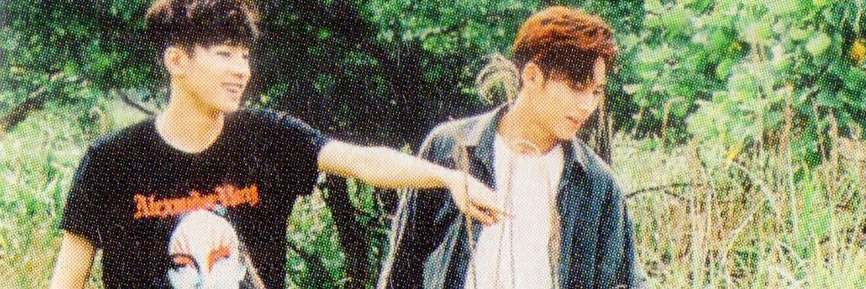 ahya banner