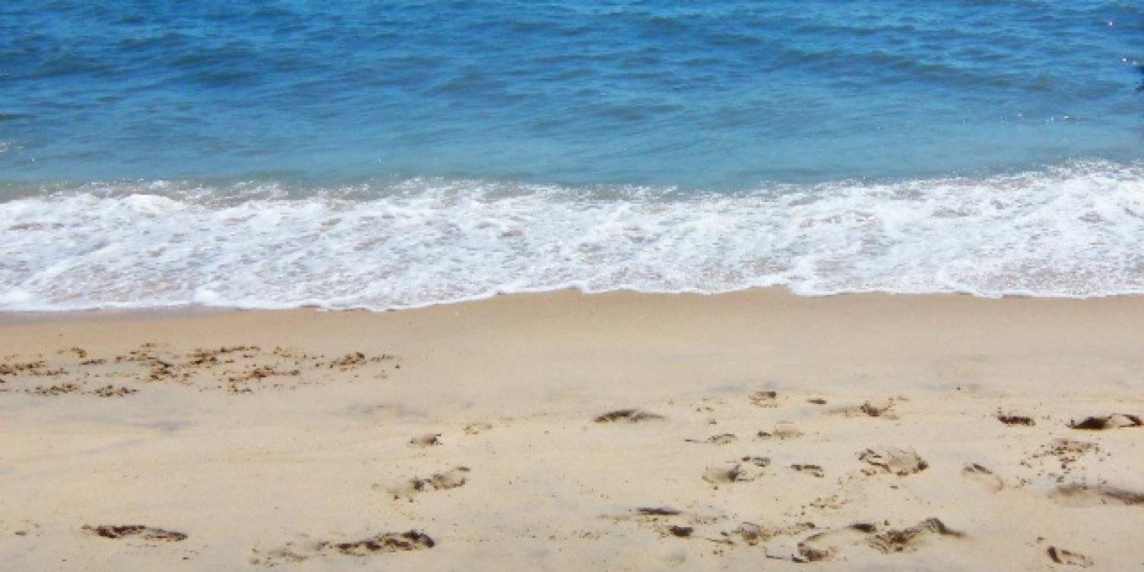 twiterlessmary's profile banner image