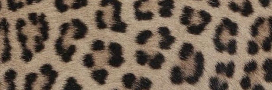 tay banner