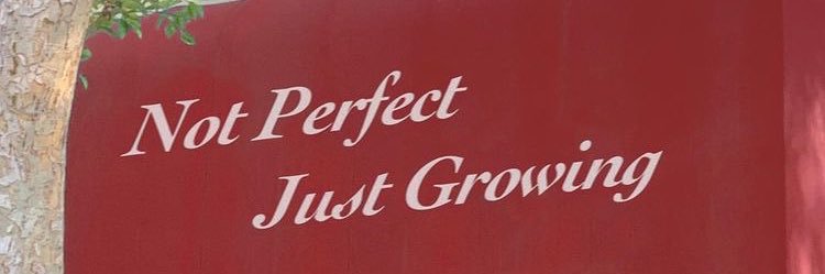 η∀⊥∀ʟḯ∀ 🦖 banner