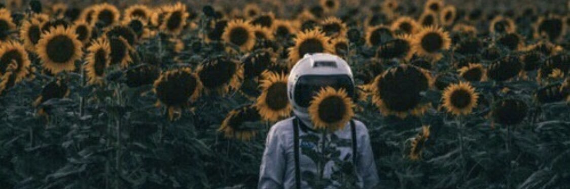 Rui Rodrigues banner