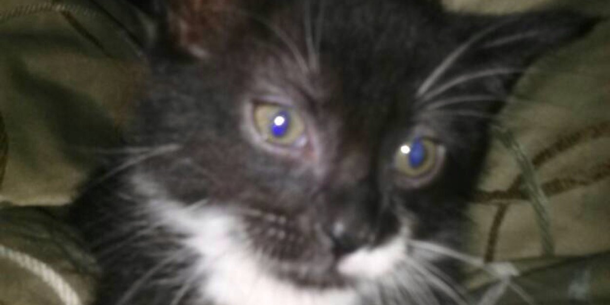 KimAnnCarter's profile banner image