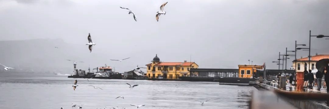 f52596715's profile banner image