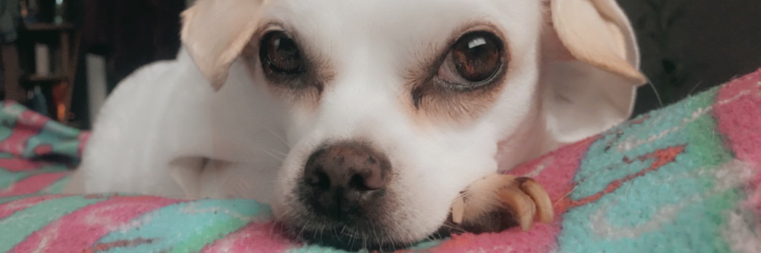 Stephy_Garcia's profile banner image