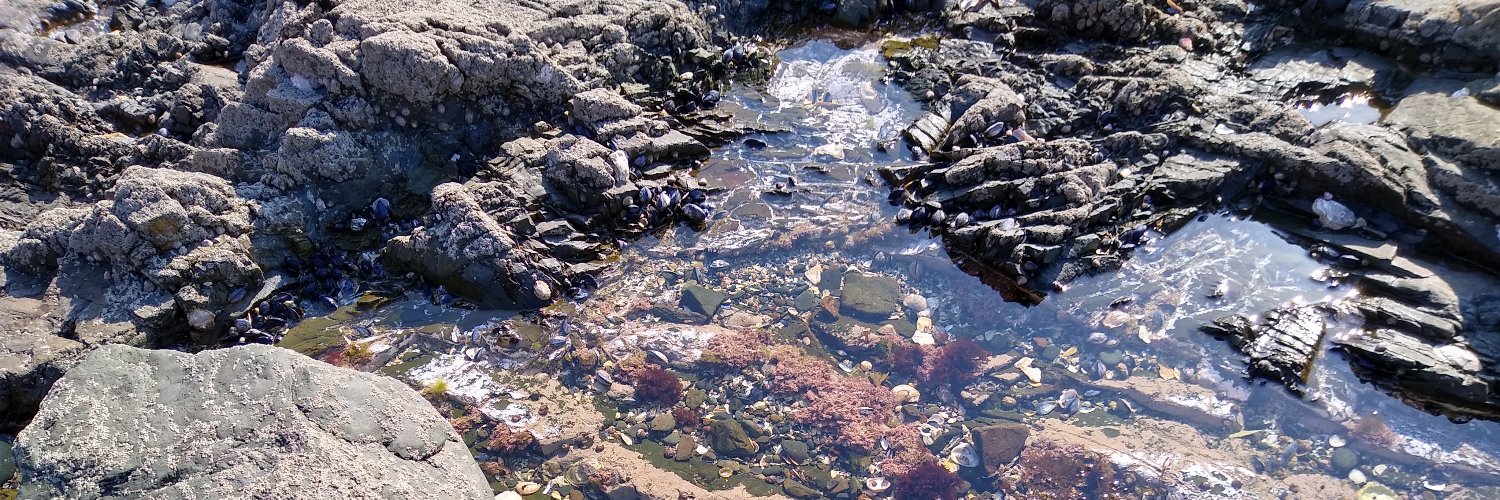 Sébastien Boisgérault banner