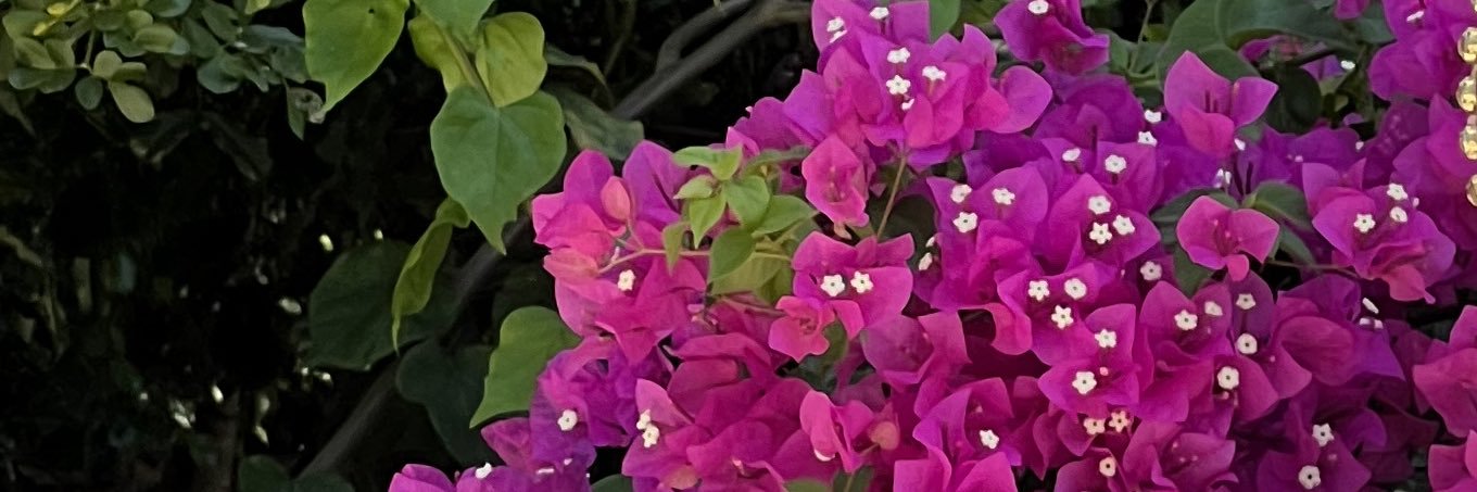 gscode_'s profile banner image