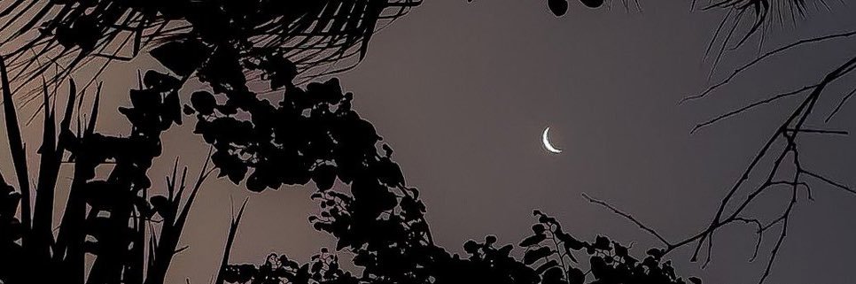 Log10Max's profile banner image