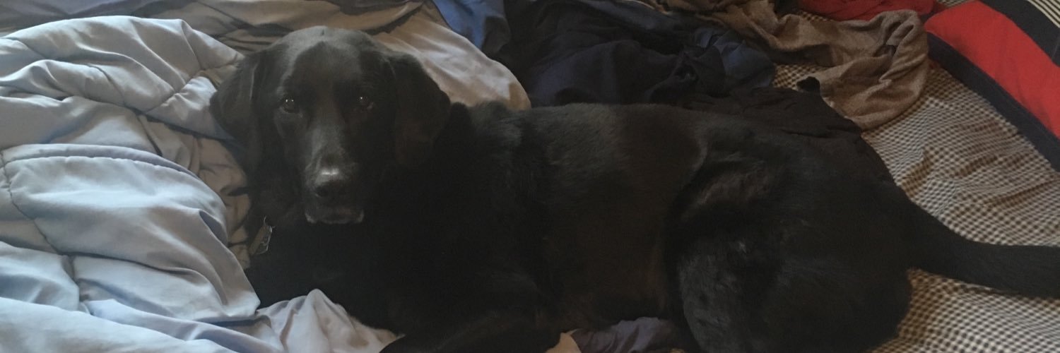 BroNazzy's profile banner image