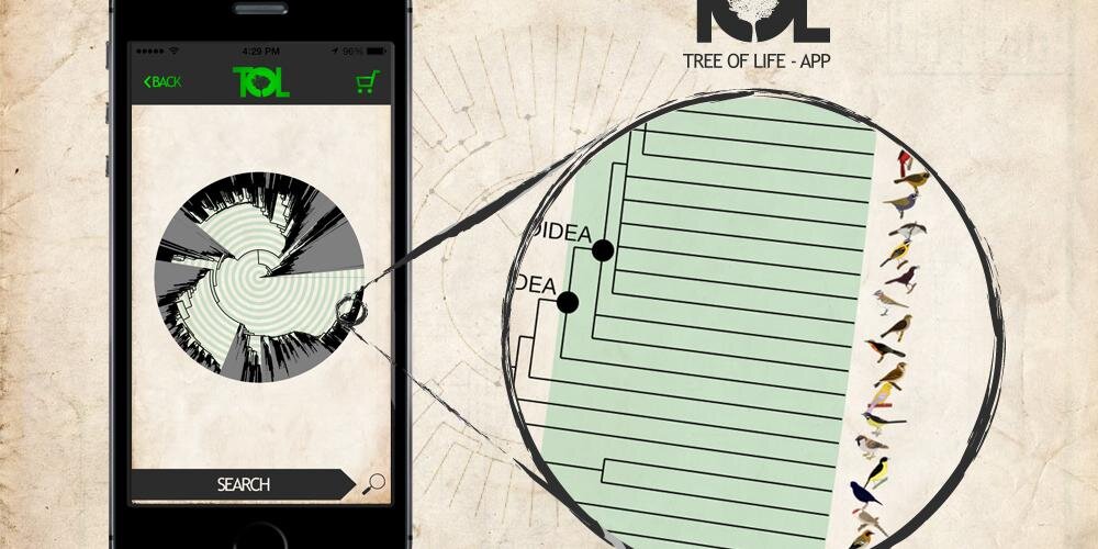 Tree Of Life App banner