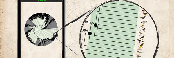 TreeOfLifeApp Profile Banner