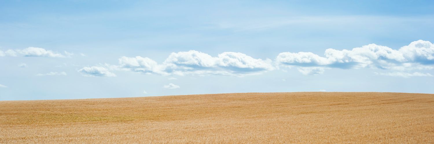 parth_ghughri's profile banner image