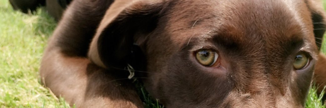 BurrisColin8's profile banner image