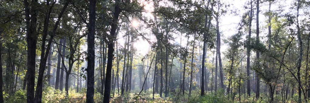 Emory Hendrix, AAMS® banner