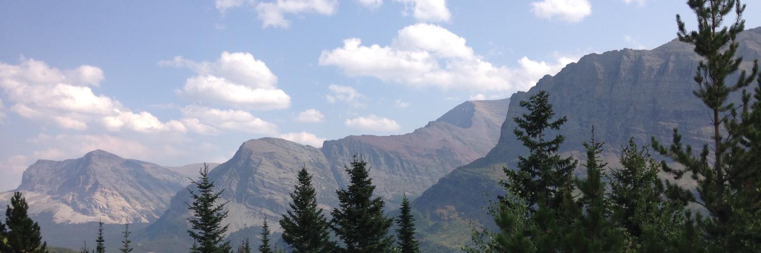 talentedterin's profile banner image