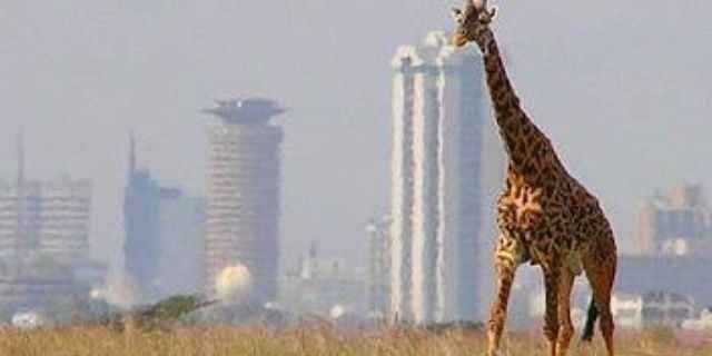Manndun's profile banner image