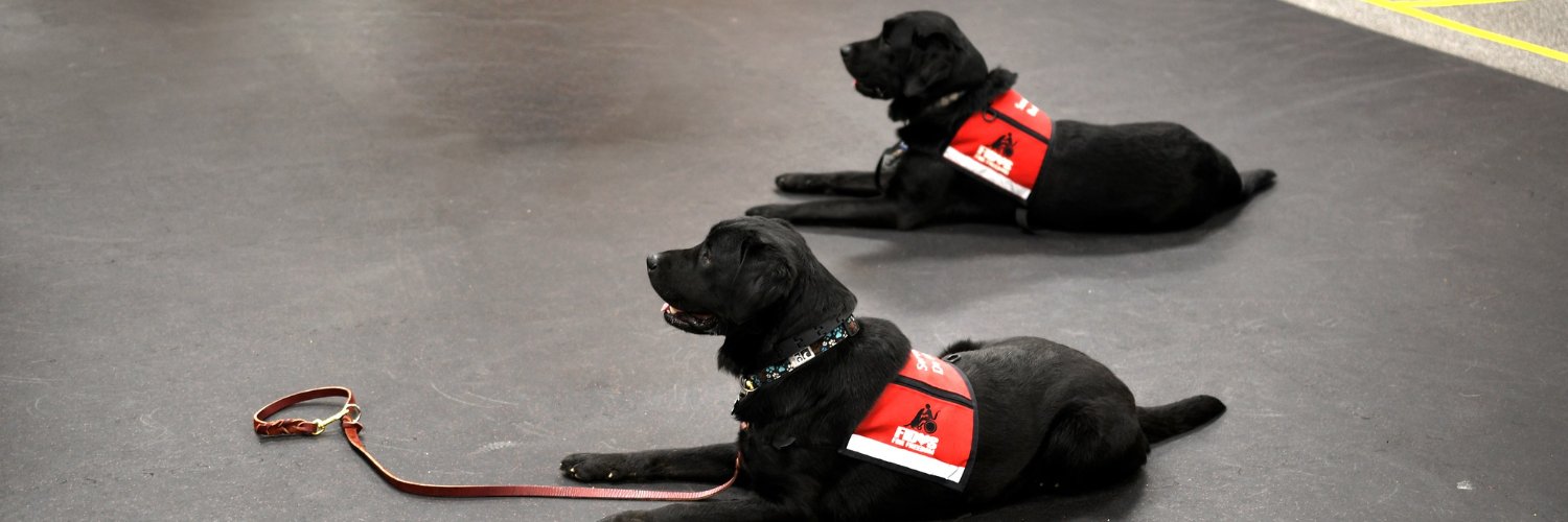 Fidos For Freedom banner