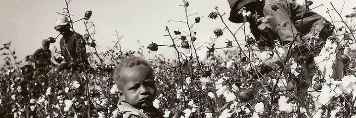 The Young Man N.Ü.K. banner