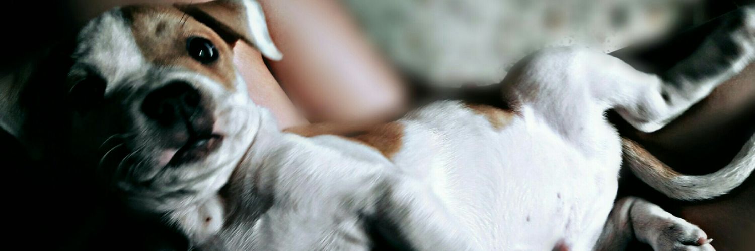 CataG26's profile banner image