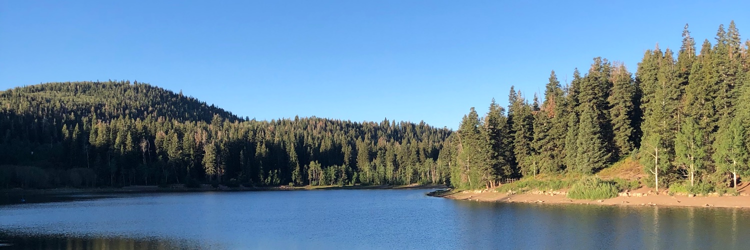 Brandon Borget banner