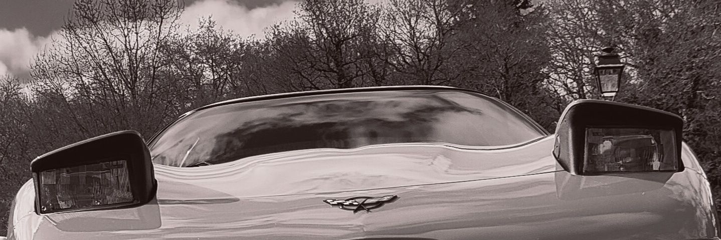 caramelblanc's profile banner image