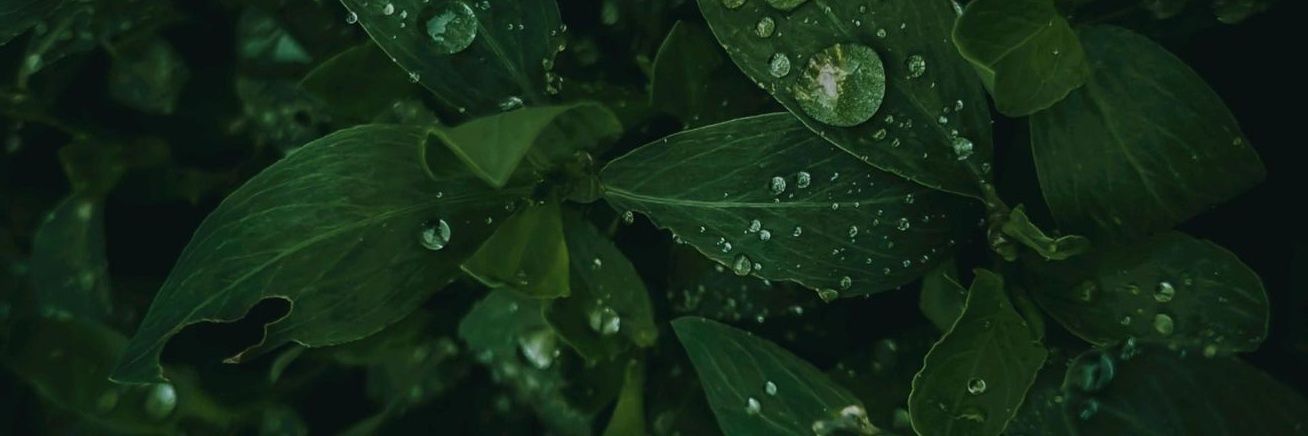 SELEXLY's profile banner image
