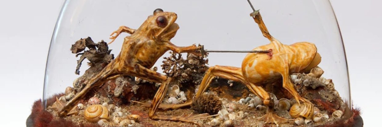 notesfrombelow's profile banner image