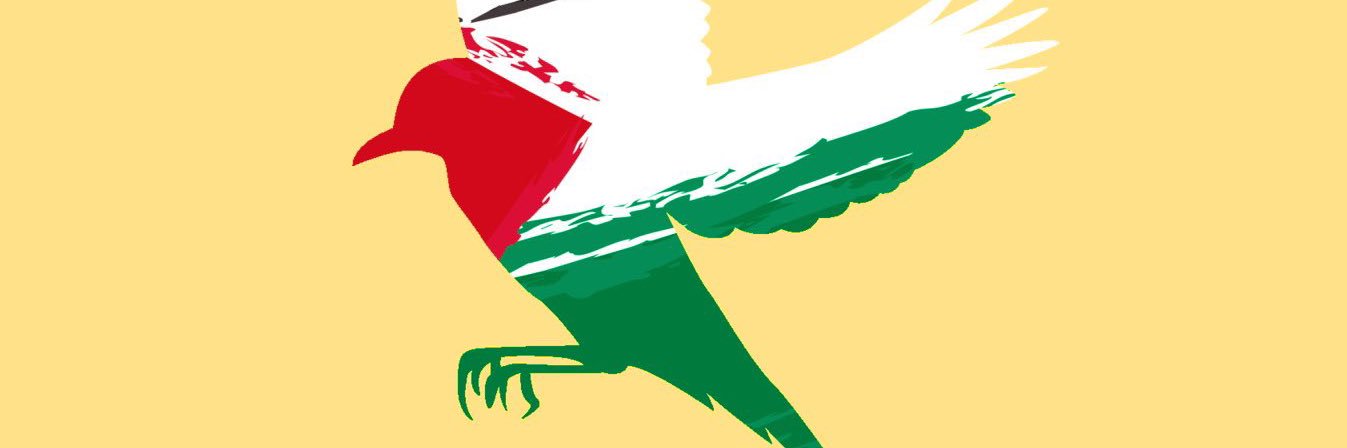 الحكيم احمد banner